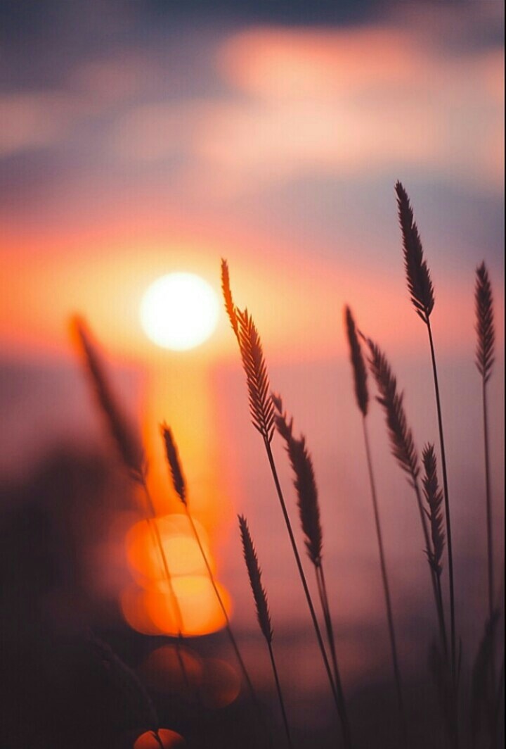 "Love that awaits..."