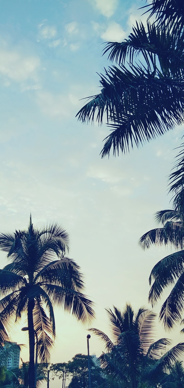 overcast