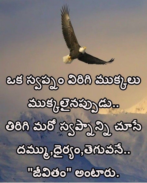 sky, accipitridae achtergronden