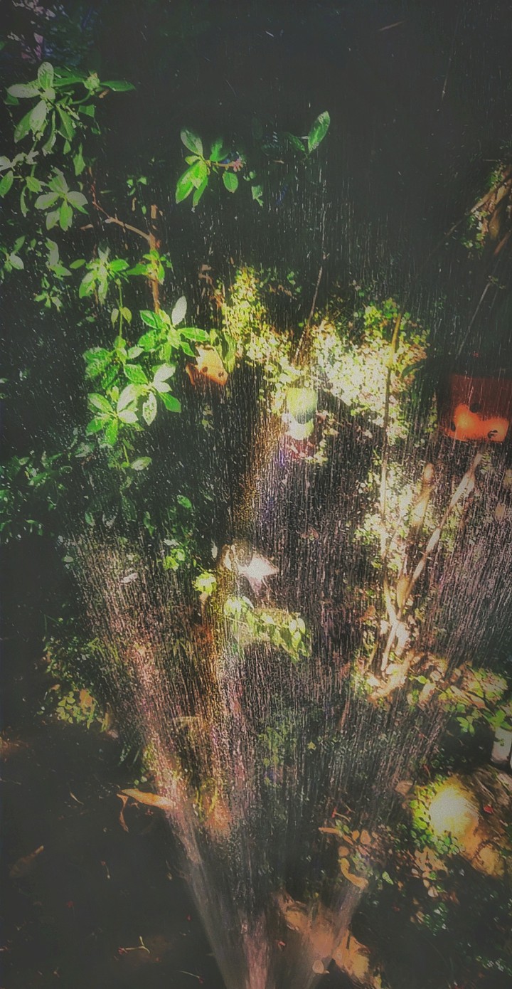 my ig: tranbinh_41