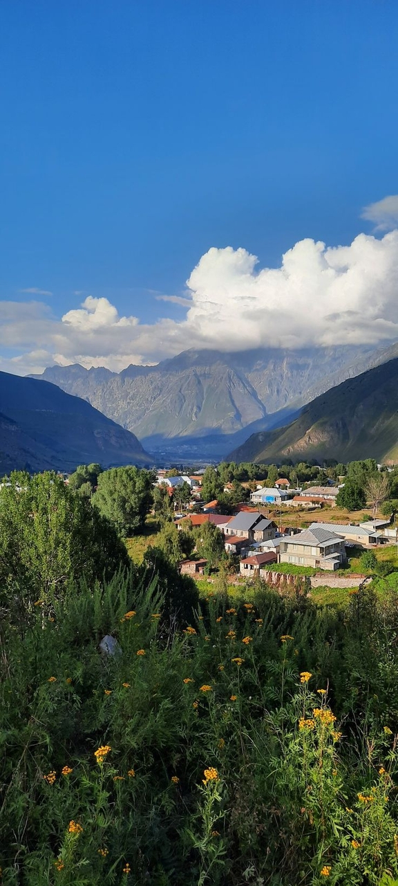 sfondi ecoregion, mountain