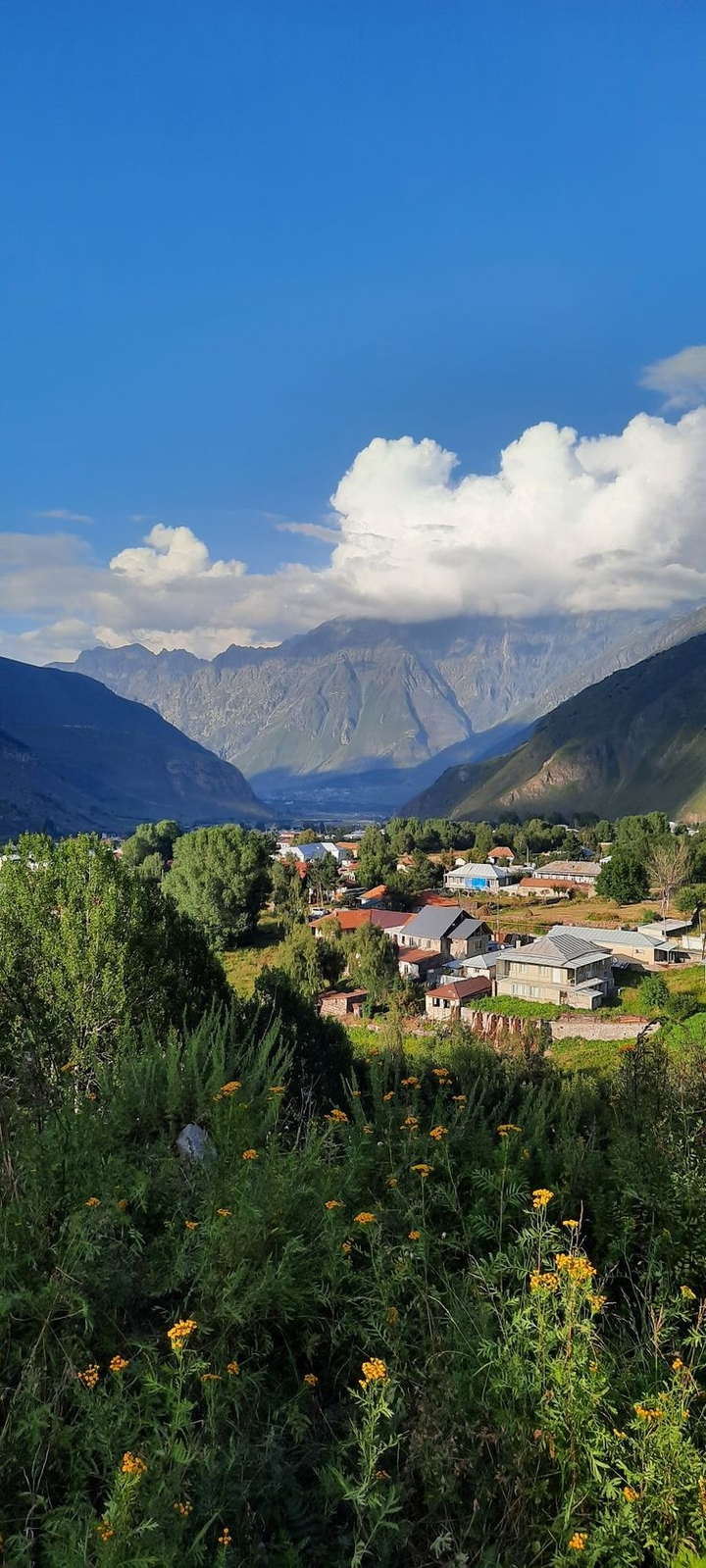 ecoregion, mountain Hintergrundbilder