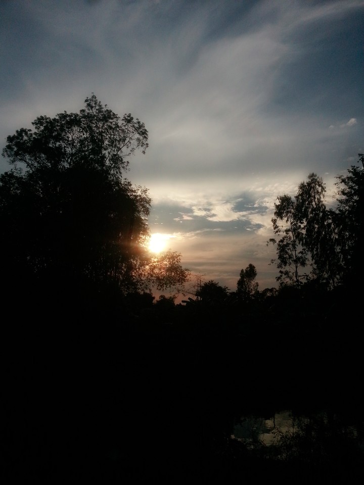 sunsit