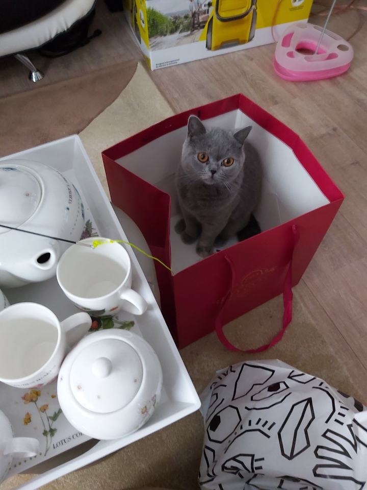 Tea&Tea