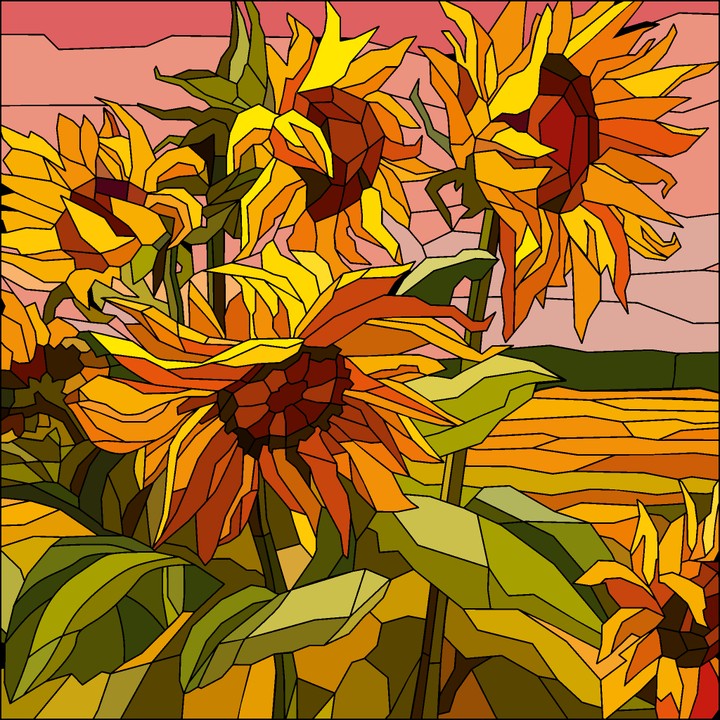 sun flower