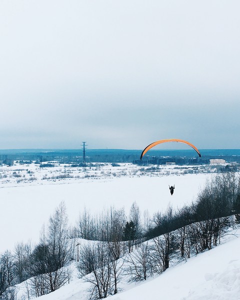 fly