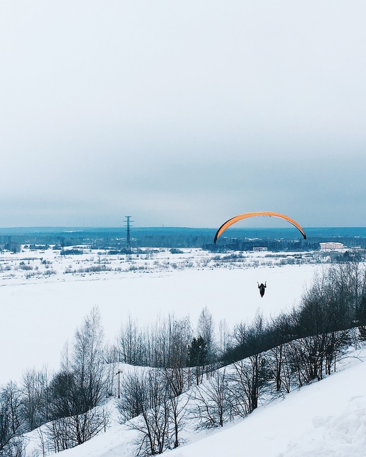 fly