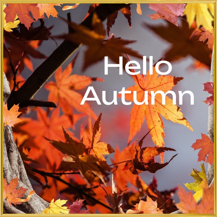 Hello Autumn