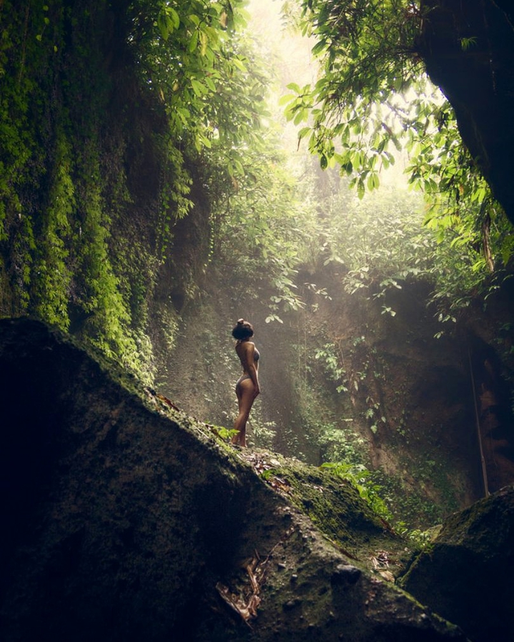 Jungles adventures