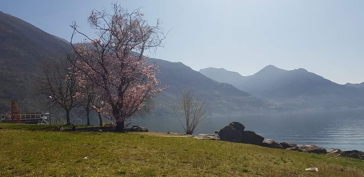 Lago