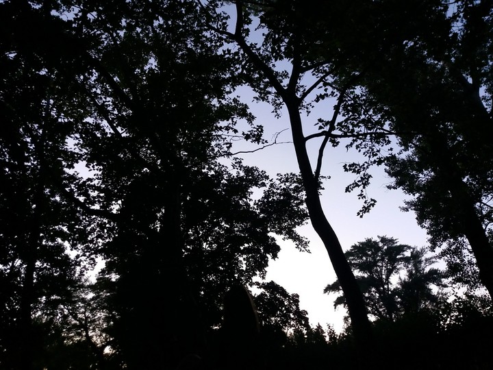 day break
