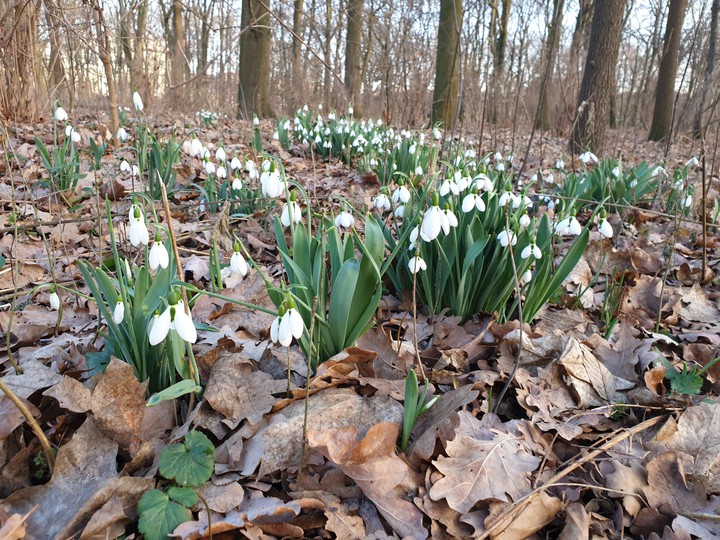 Springtime