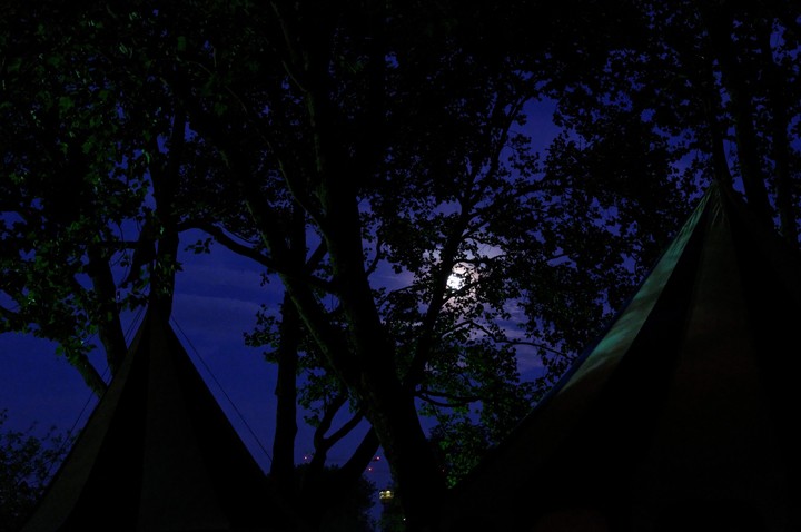 Immaculate Night Beautiful Vision.