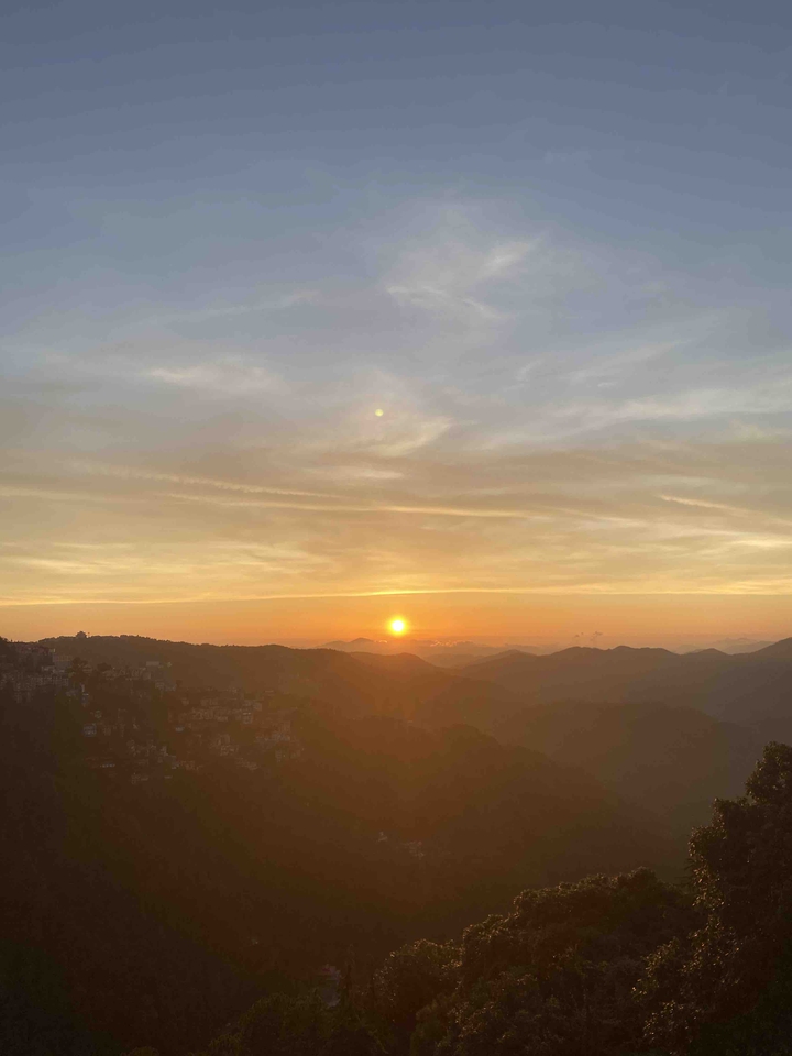 Shimla Dairy