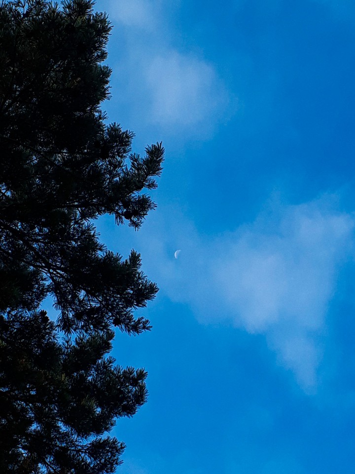 Moon I ma?