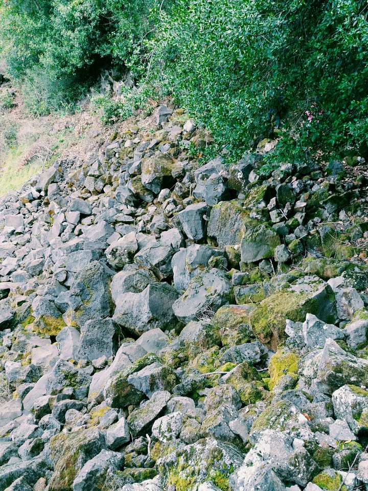 Manzara