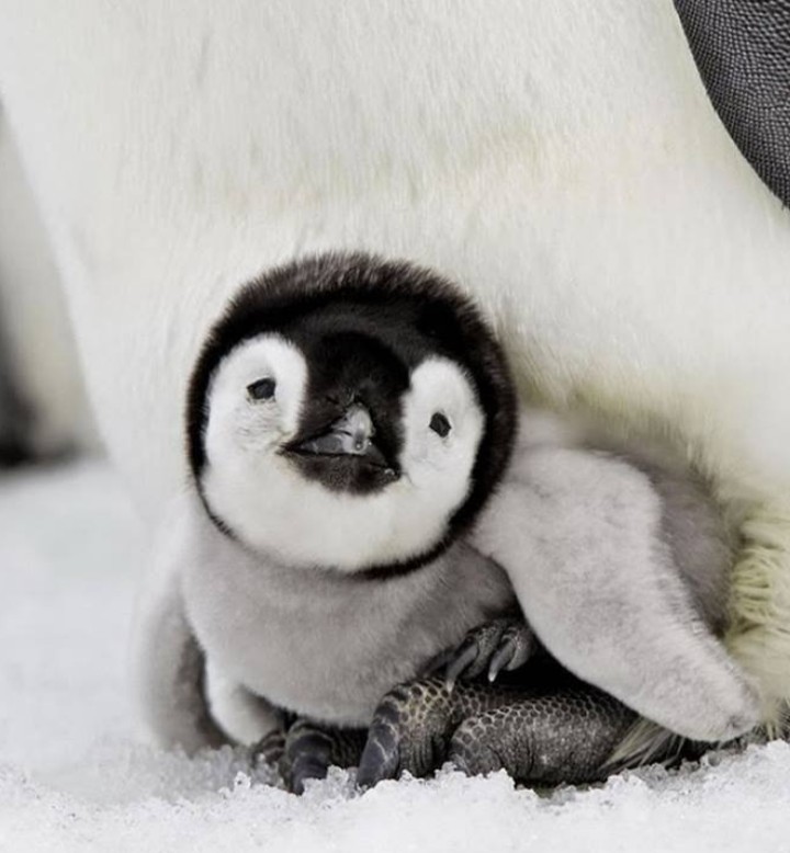 Mamma Can i go to sleep again plzzzzz !. . :):D