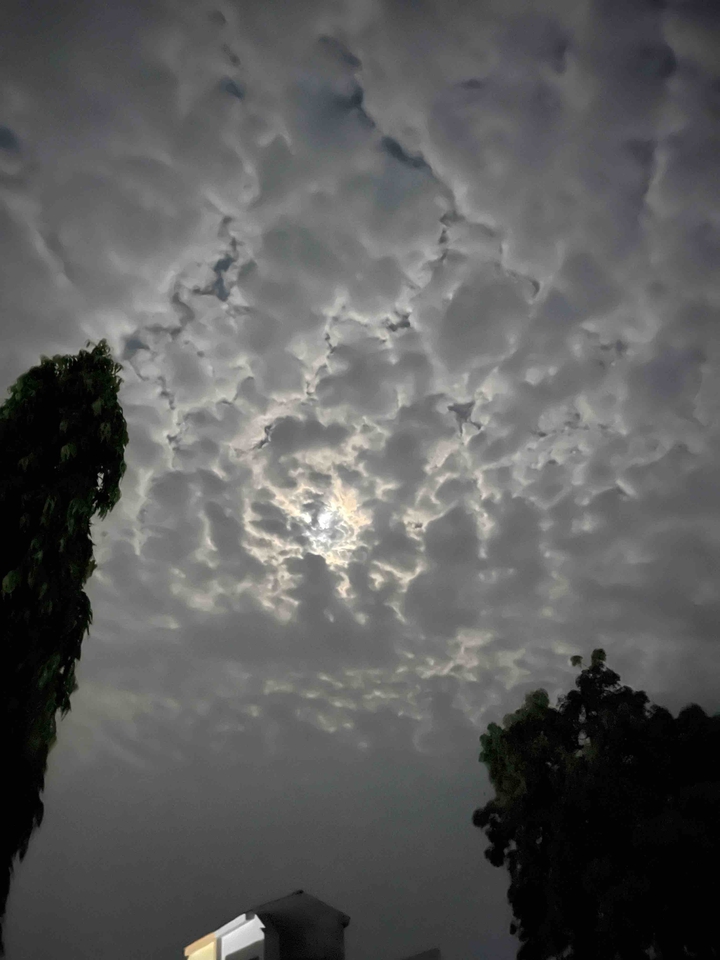 Night Cloud textures