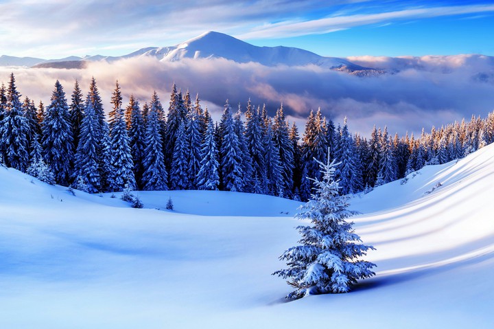 winter