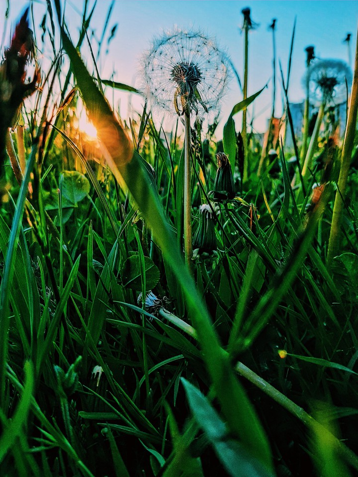 summer time