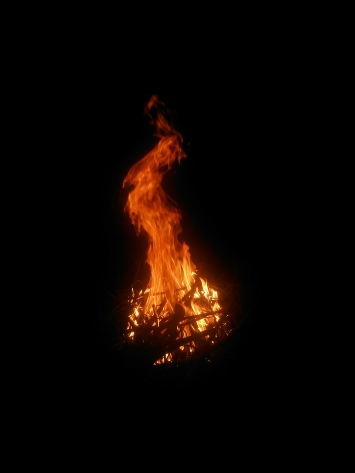 Wild Fire