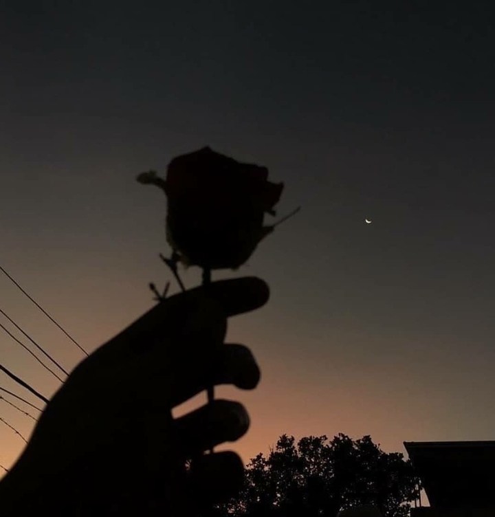 lonely