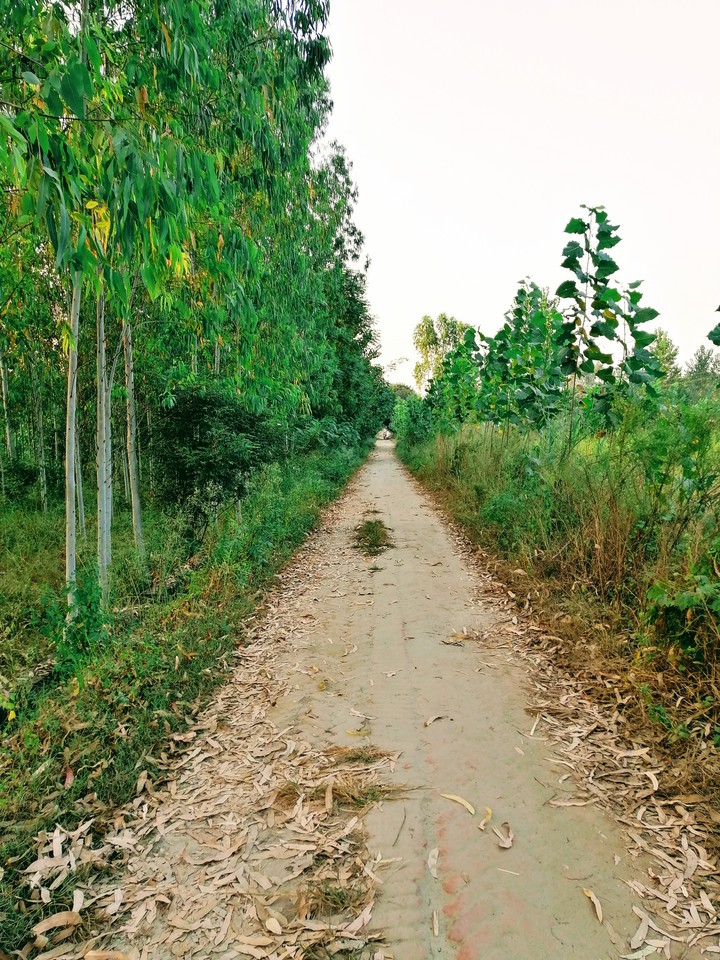 way
