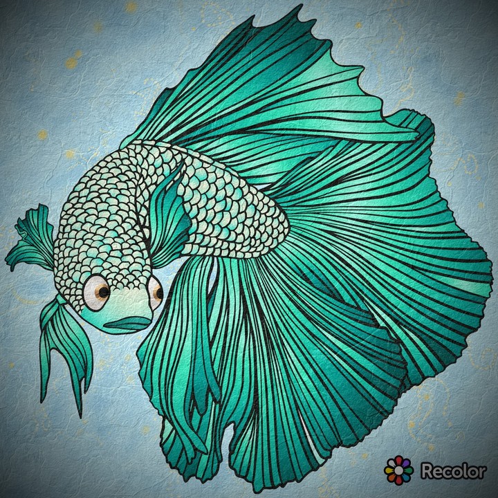 Fish