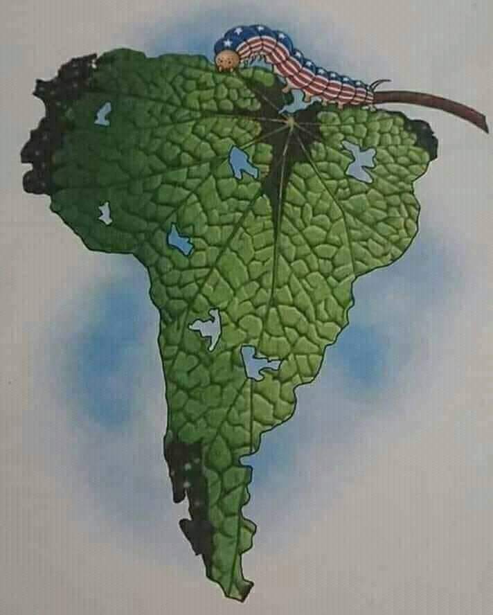 una imagen dice más que mil palabras
