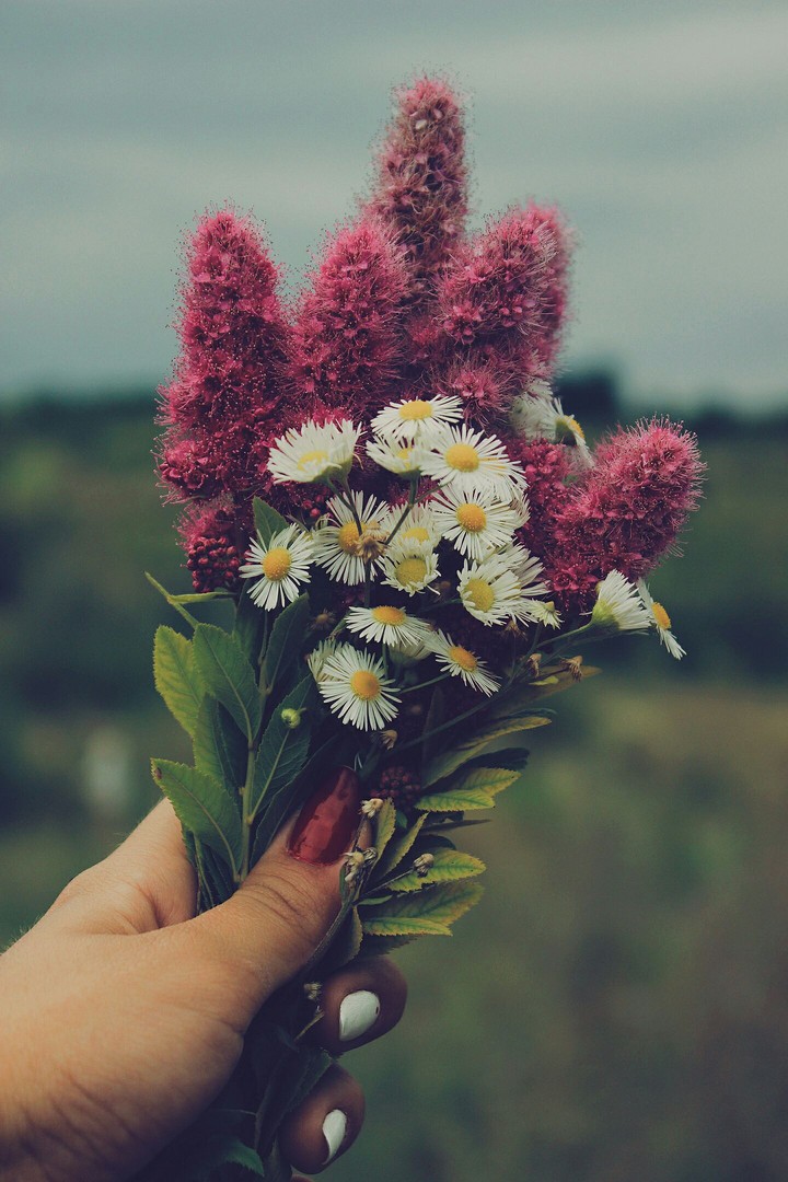Flowers.