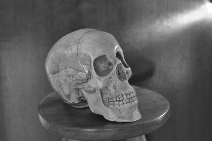 the skull