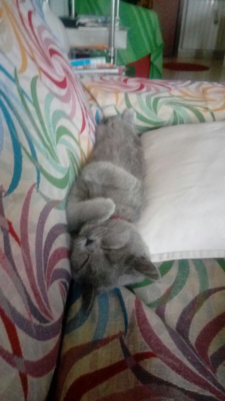 Nina dorme