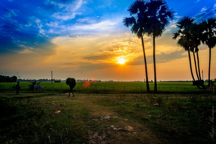 scenic beauty