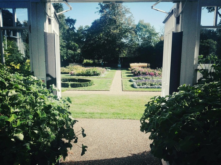 magic garden