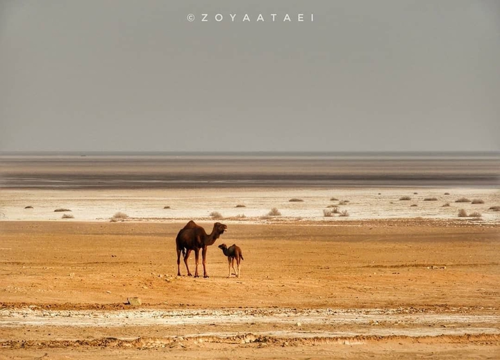 Maranjab Desert