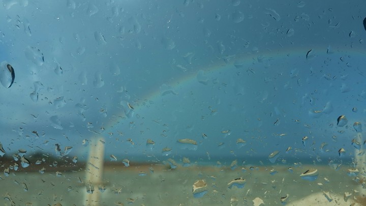 In LIBYA