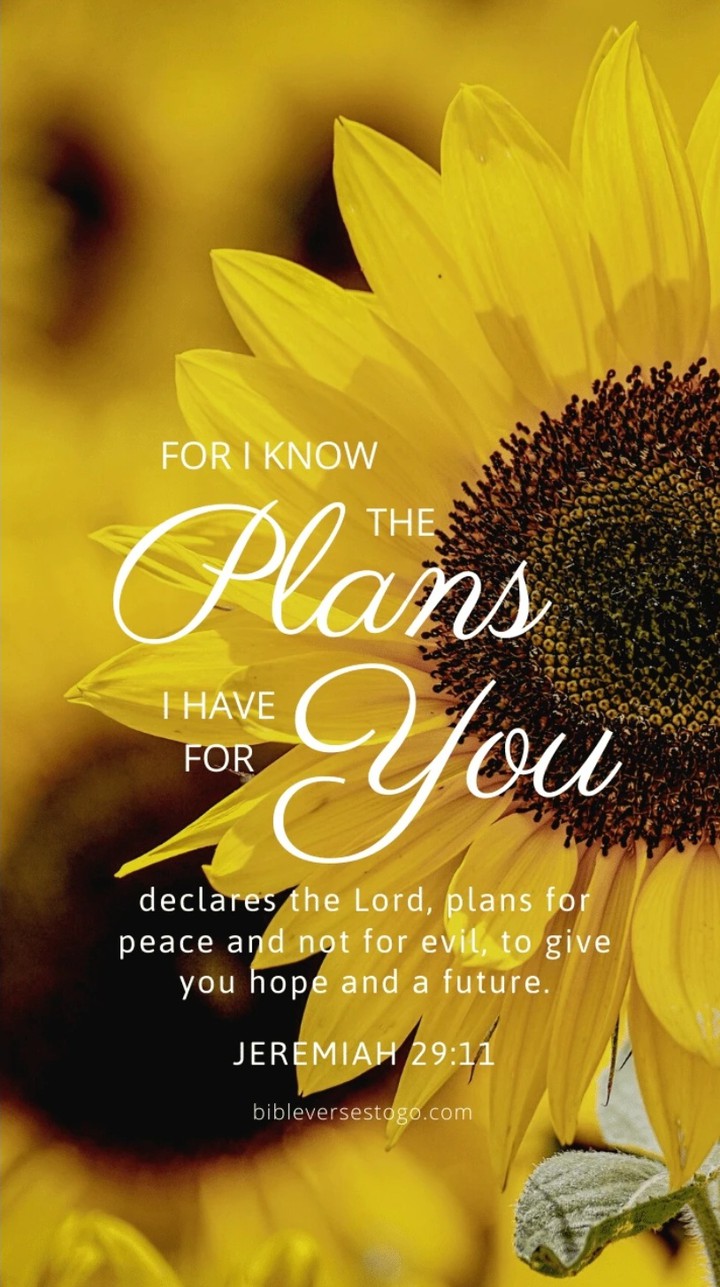 plans, God have for you