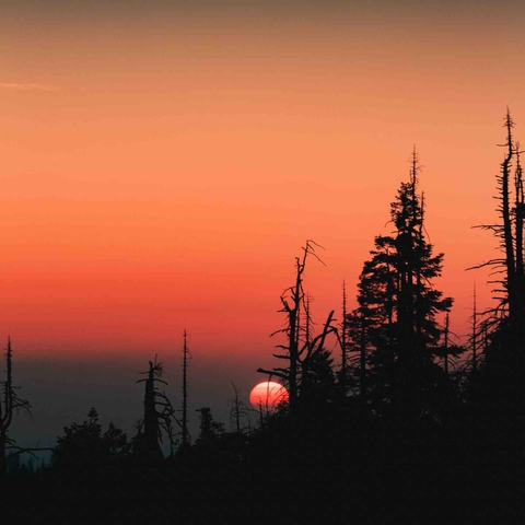 evening, nature duvar kağıtları
