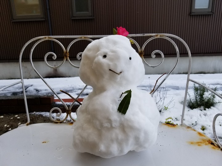 Snow Man