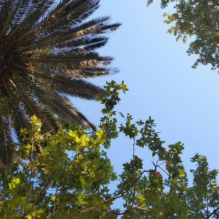 Nature