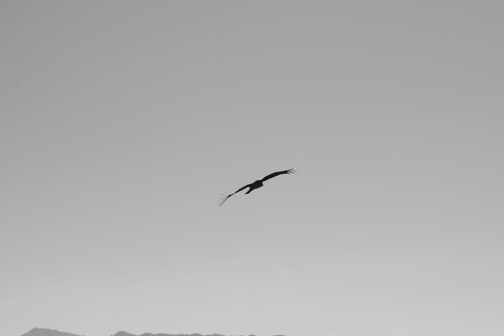 Sanjay Rawat Photography(Nikon D5200)