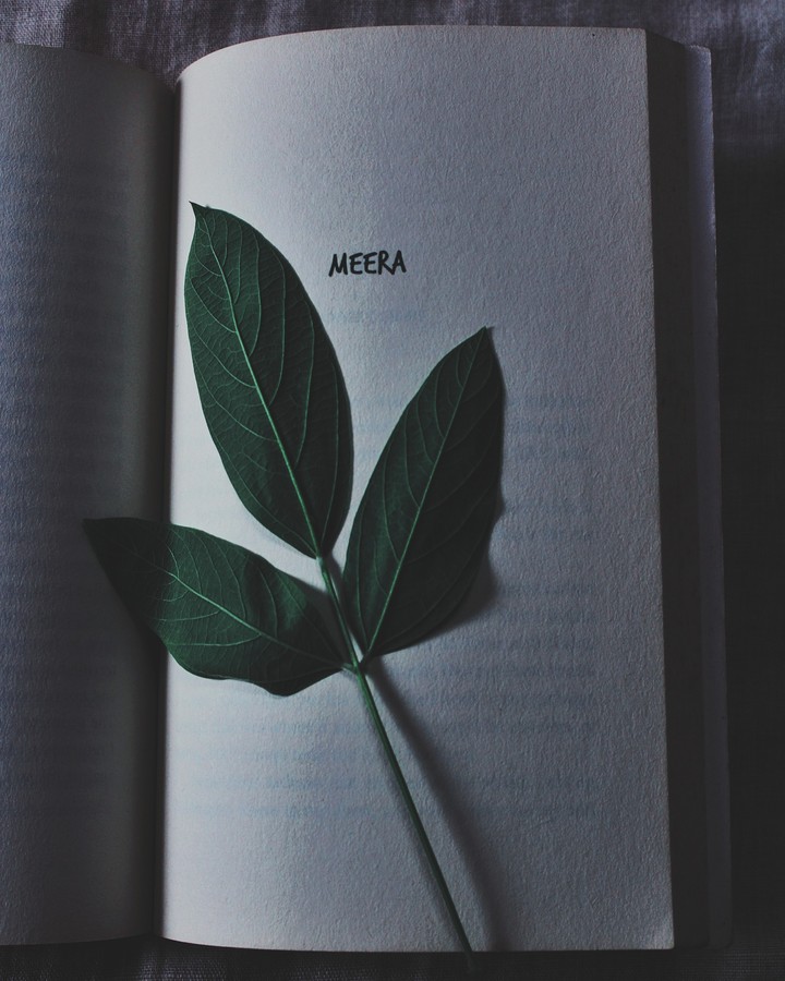 Book