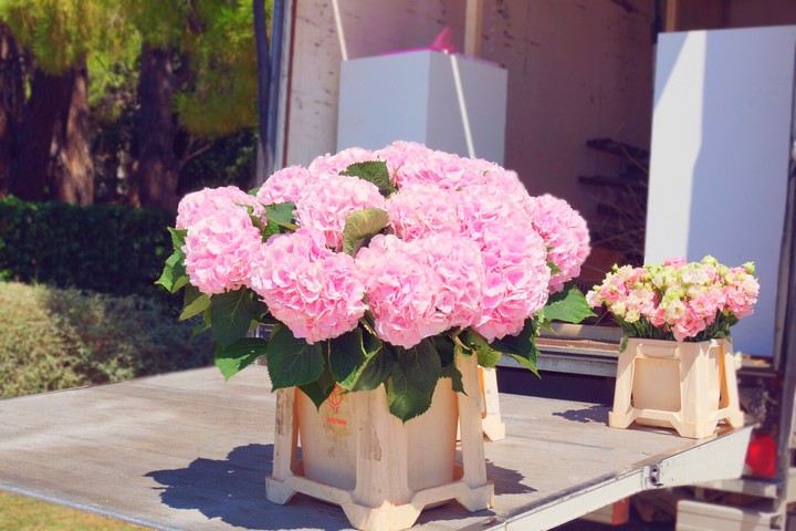 flowers preparation