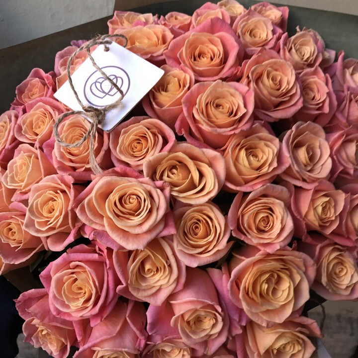 Roses
