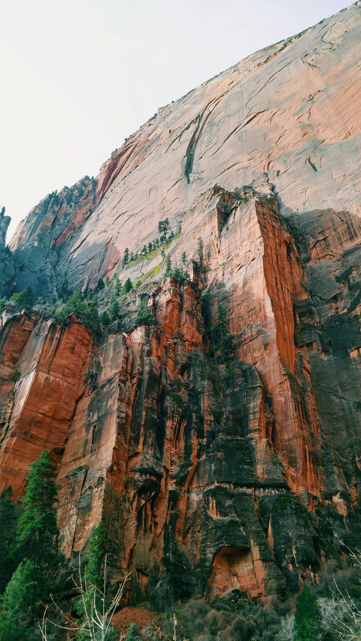 Zion's Cliff