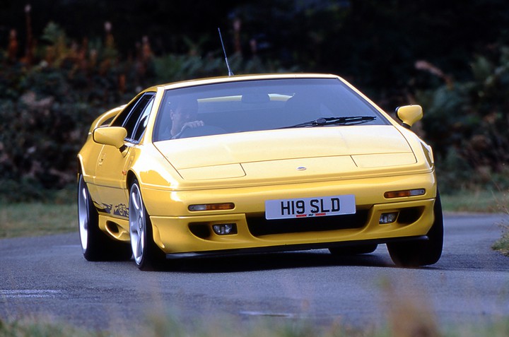 lotus