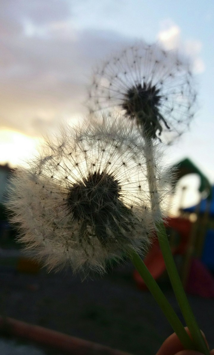 blow :)