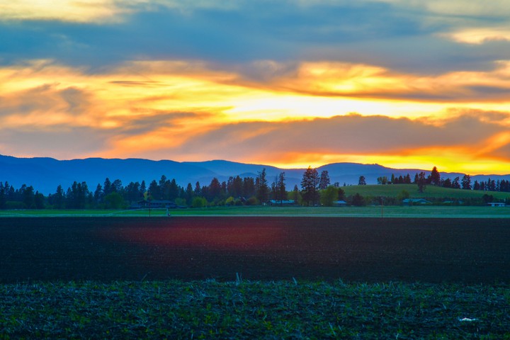 Evening