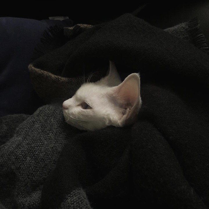 ❤