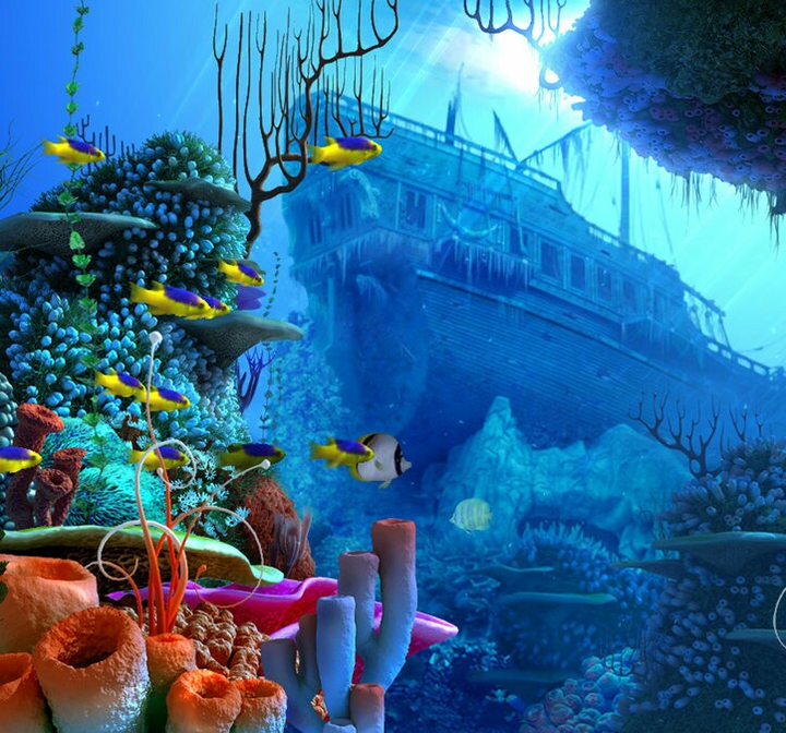 seaworld✨?❤✨